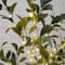4ft. Pre-Lit Artificial Fruiting Olive Tree with Warm White LED Lights